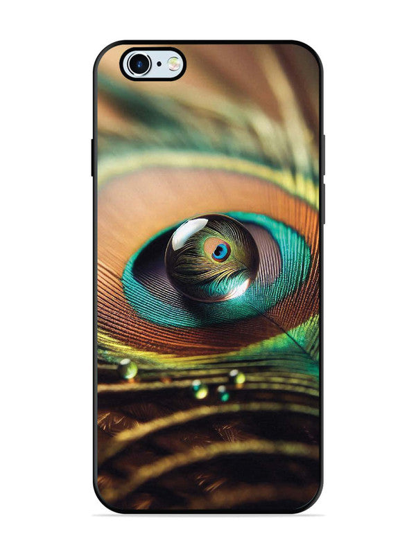 iPhone 6 Plus Water Drop On Peacock Feather