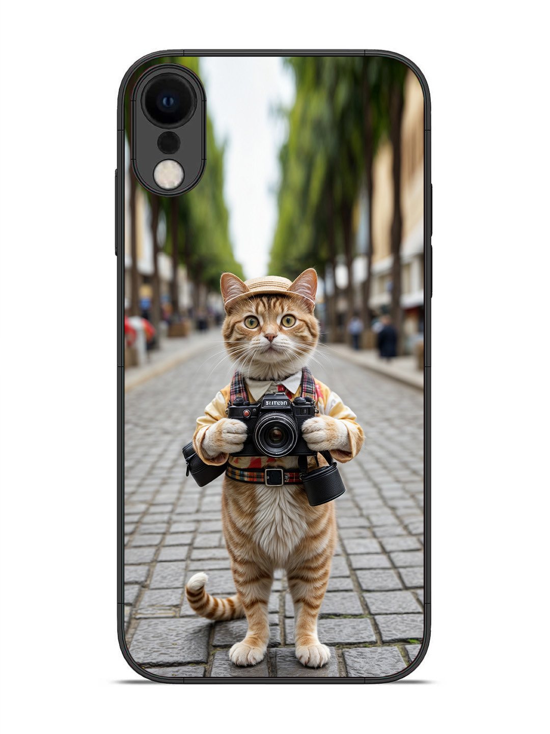 iPhone XR Cat as Cameraman