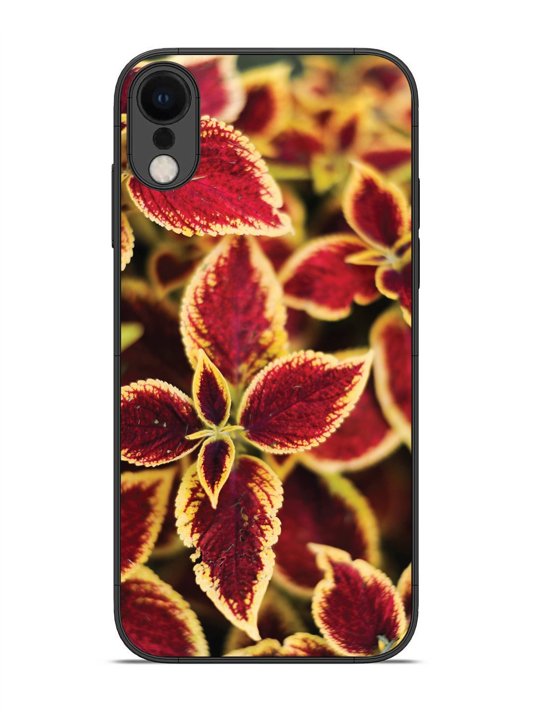 iPhone X Autumn Blaze