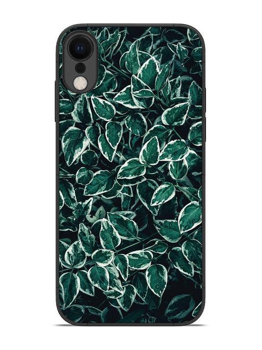 iPhone X Green Oasis Leafs
