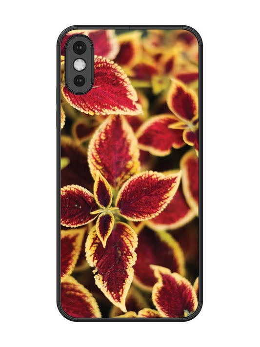 iPhone XS Max Autumn Blaze