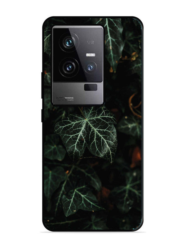 iQoo 11 5G Betel Leafs