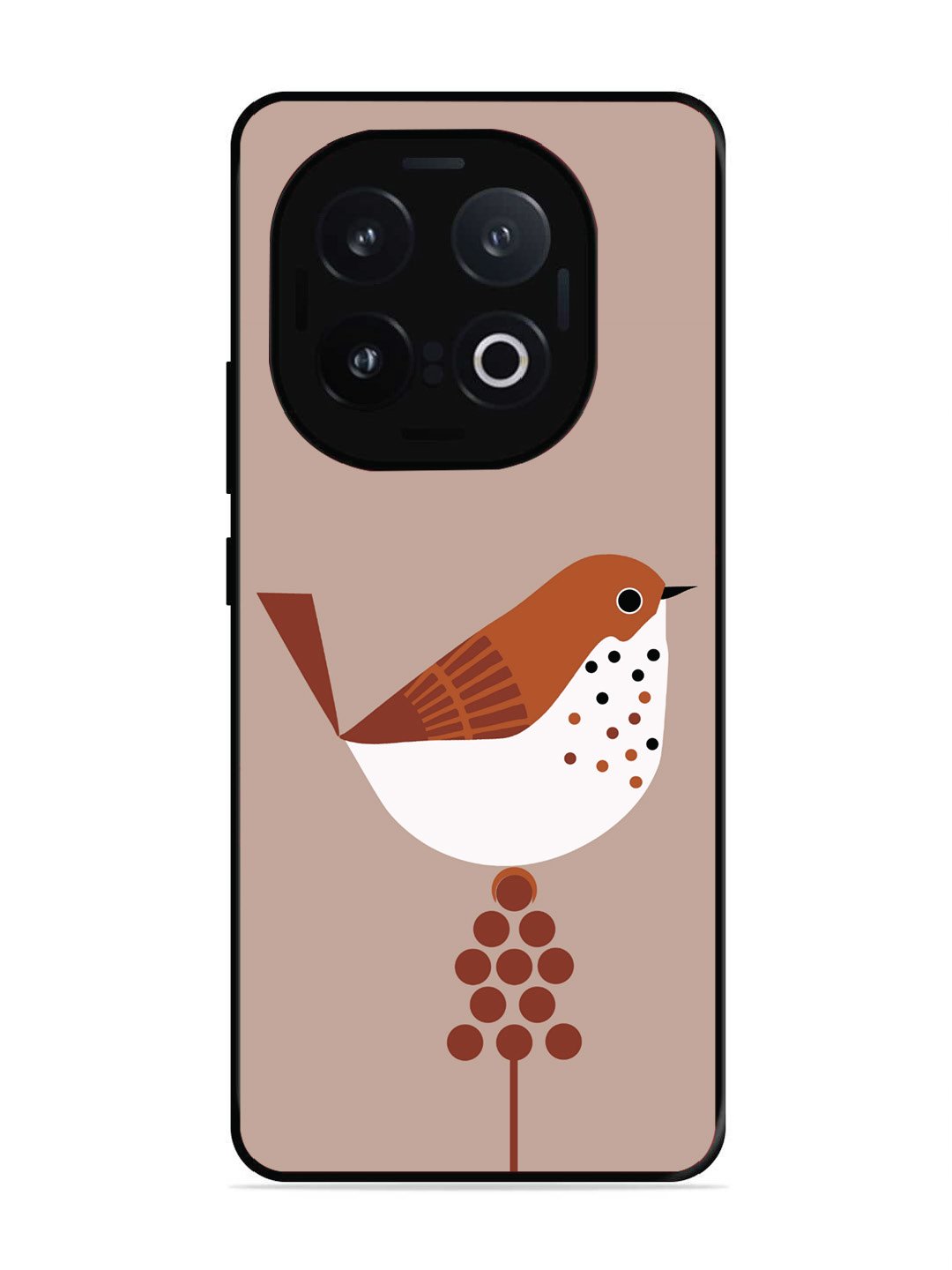 Iqoo 13 5G Sparrow