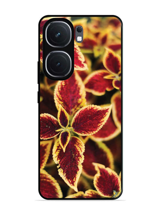 iQoo Neo 9 Pro Autumn Blaze