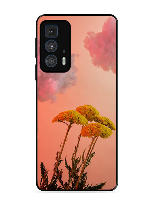 Motorola Moto Edge 20 Pro Floral Sunset Blossom Sky