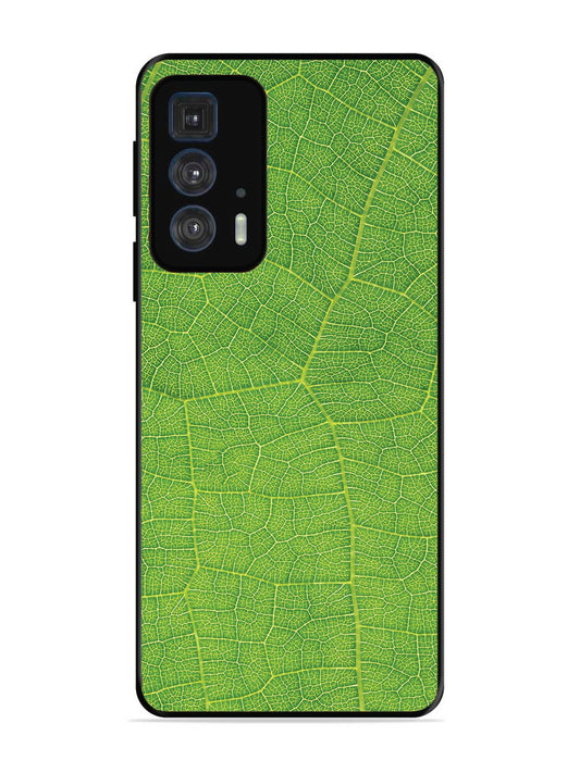 Motorola Moto Edge 20 Pro Leaf vins