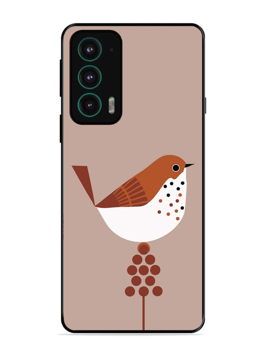 Motorola Moto Edge 20 Sparrow