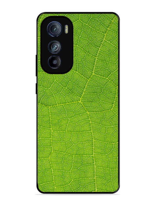 Motorola Moto Edge 30 Leaf vins