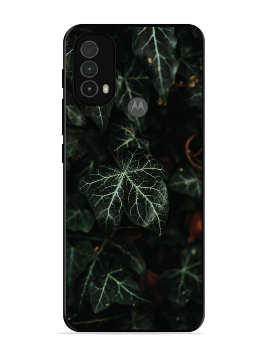 Motorola Moto E40 Betel Leafs