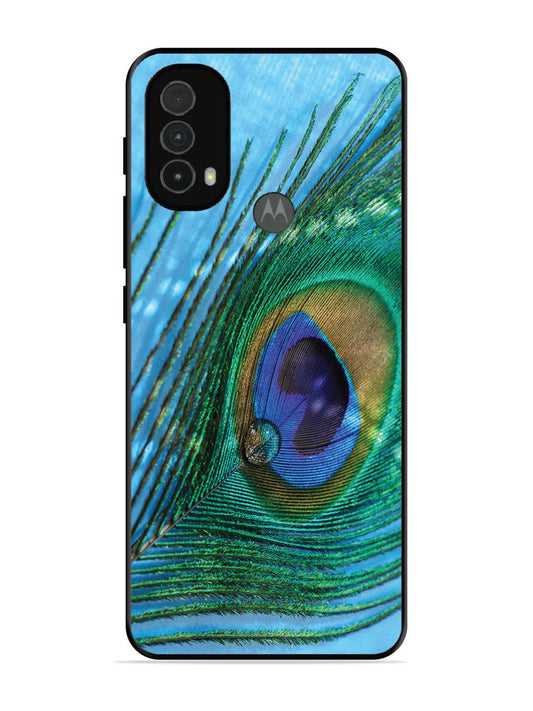Motorola Moto E40 A drop on Peacock Feather