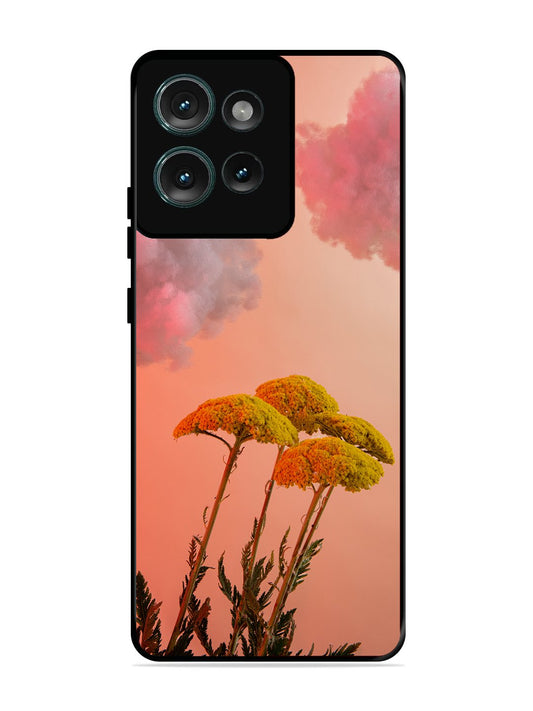 Motorola Edge 50 Floral Sunset Blossom Sky