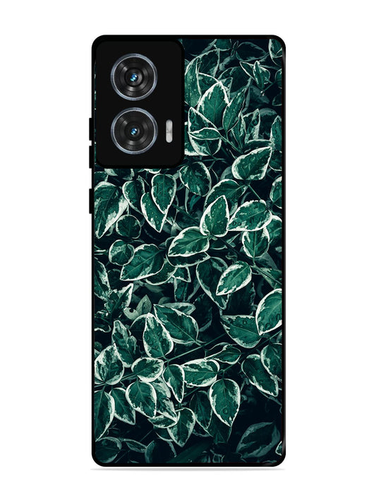 Motorola Edge 50 Fusion Green Oasis Leafs