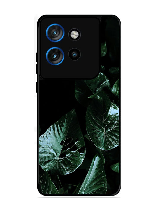 Motorola Edge 50 NEO Leafs at night