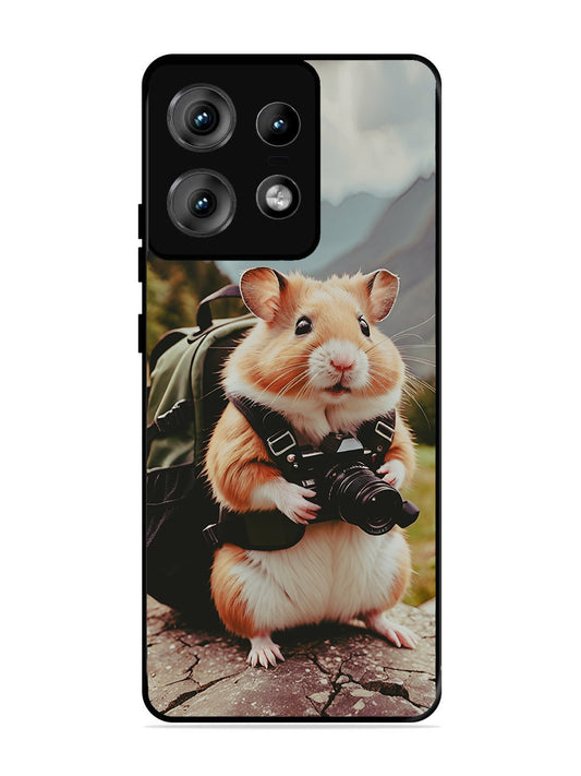 Motorola Edge 50 Pro Camera Squirrel
