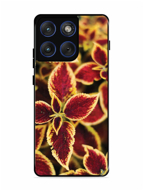 Motorola Edge 70 5G Autumn Blaze