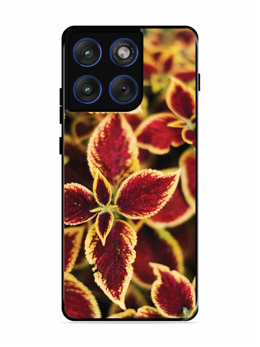 Motorola Edge 70 5G Autumn Blaze