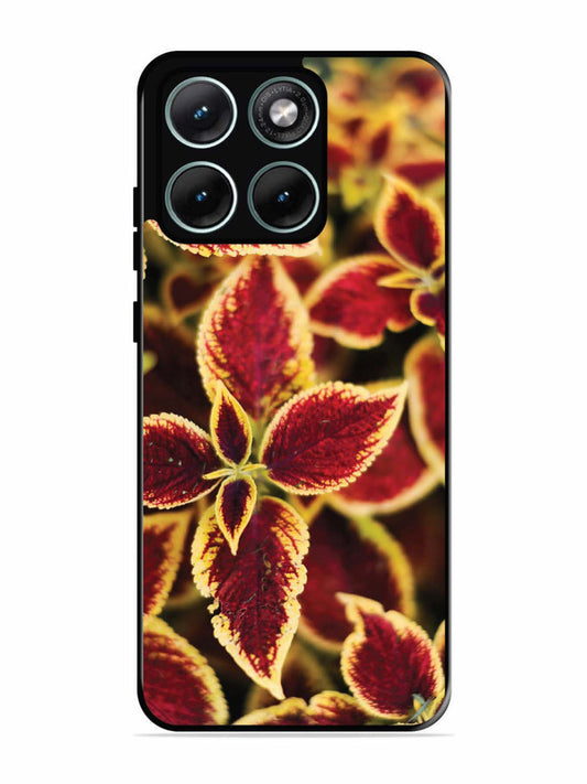 Motorola Edge 70 Fusion Autumn Blaze