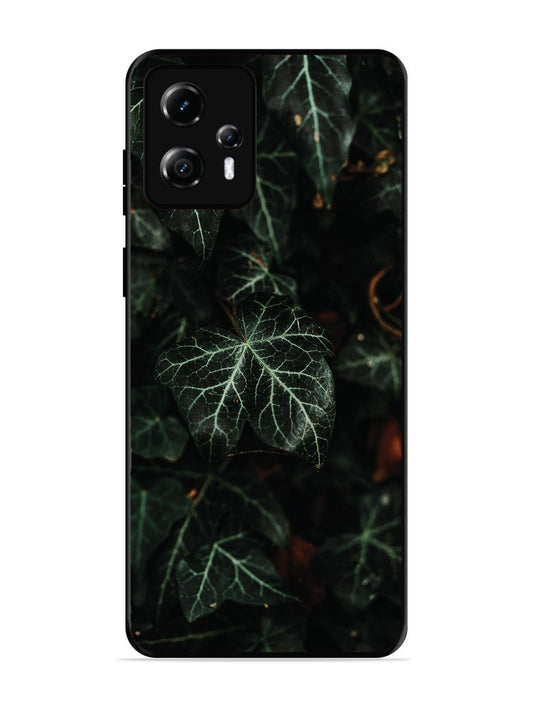 Motorola Moto G13 Betel Leafs