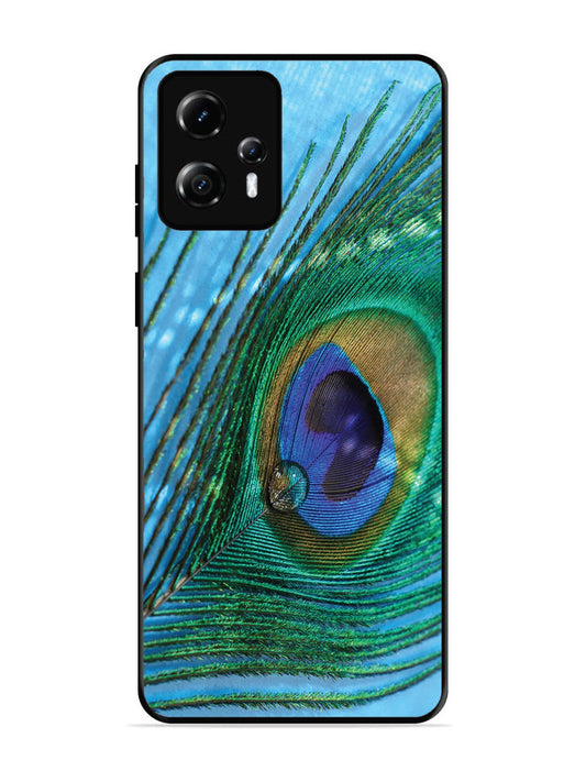 Motorola Moto G13 A drop on Peacock Feather