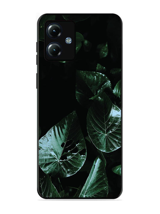 Motorola Moto G14 Leafs at night