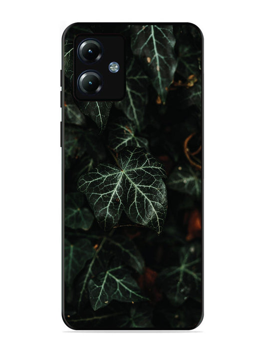 Motorola Moto G14 Betel Leafs