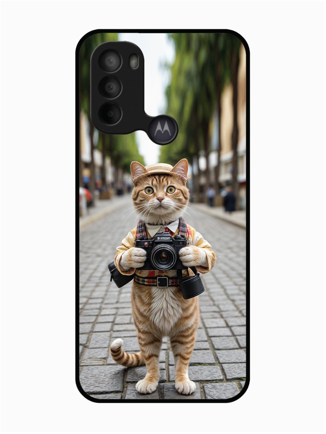 Motorola Moto G31 Cat as Cameraman
