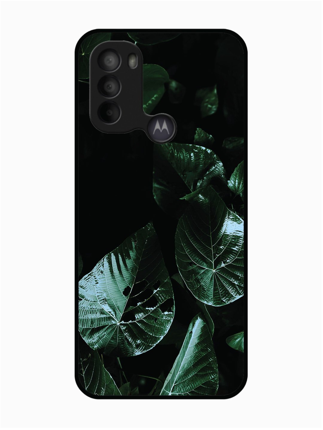 Motorola Moto G31 Leafs at night