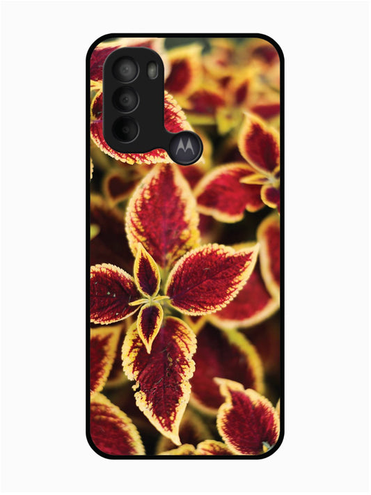 Motorola Moto G31 Autumn Blaze