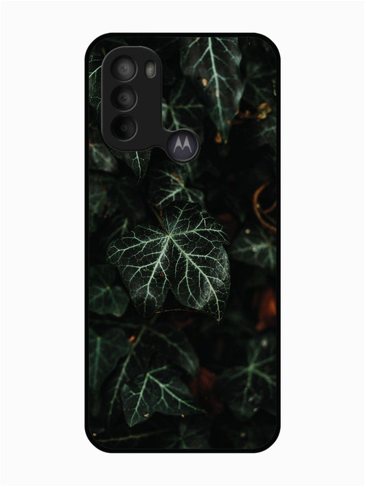 Motorola Moto G31 Betel Leafs