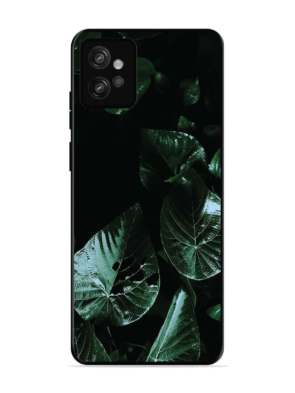 Motorola Moto G32 Leafs at night