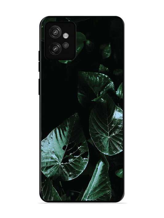 Motorola Moto G32 Leafs at night