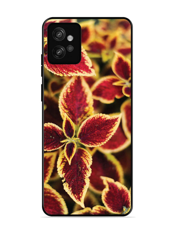 Motorola Moto G32 Autumn Blaze