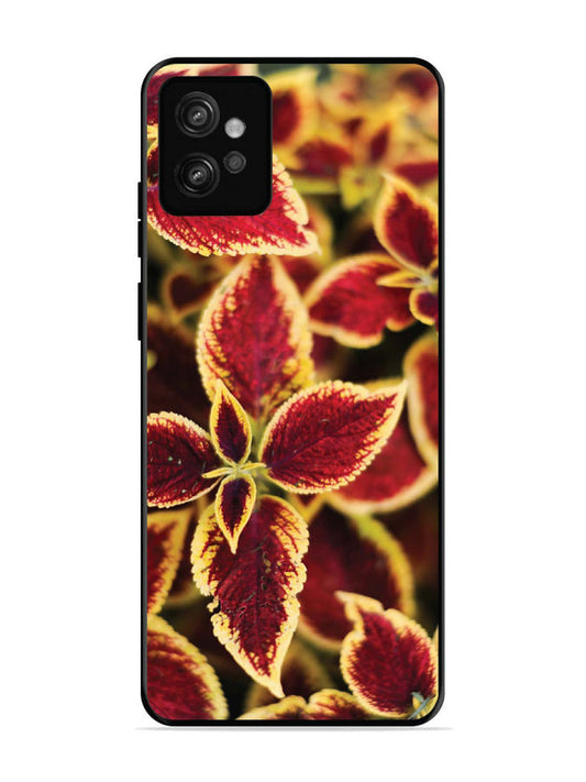 Motorola Moto G32 Autumn Blaze