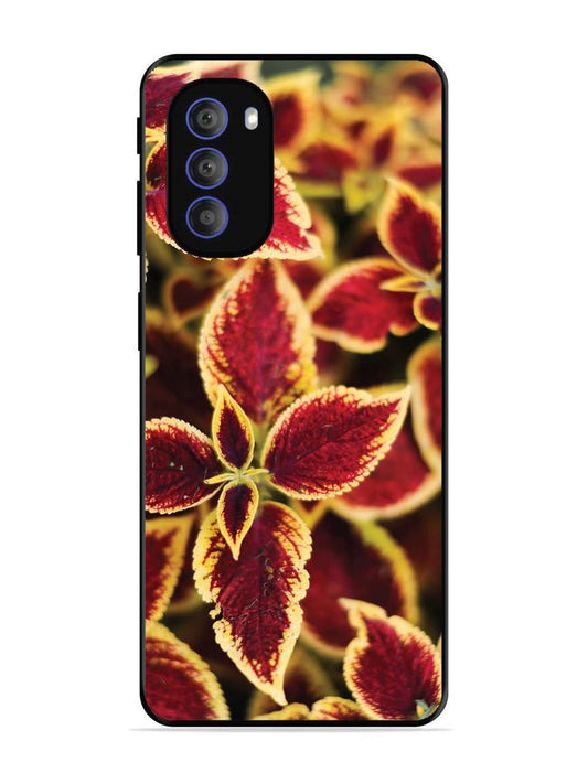 Motorola Moto G51 5G Autumn Blaze