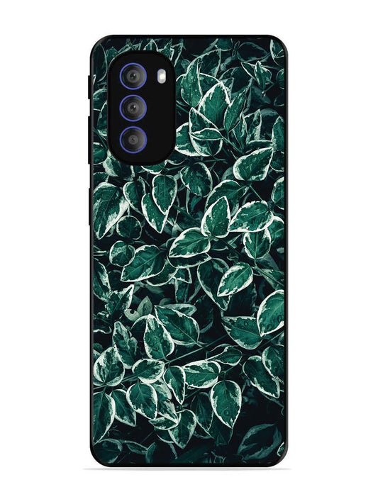 Motorola Moto G51 5G Green Oasis Leafs