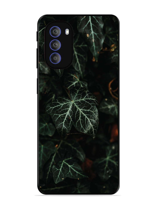 Motorola Moto G51 5G Betel Leafs