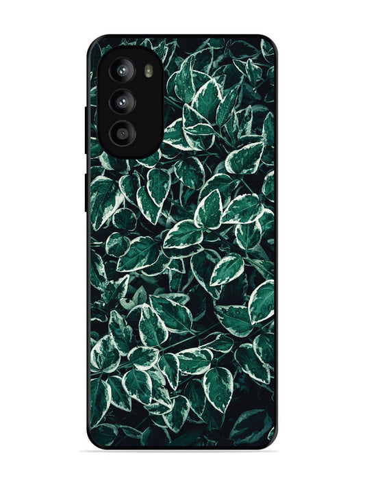 Motorola Moto G62 5G Green Oasis Leafs