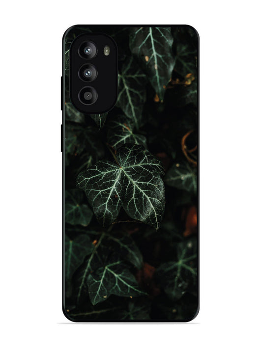 Motorola Moto G62 5G Betel Leafs