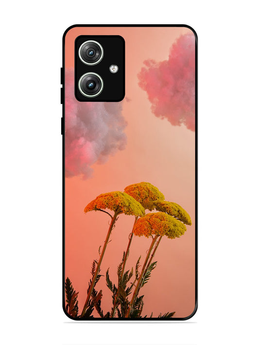Motorola Moto G54 5G Floral Sunset Blossom Sky