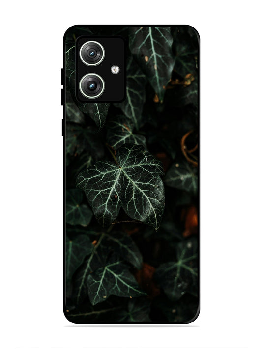 Motorola Moto G54 5G Betel Leafs