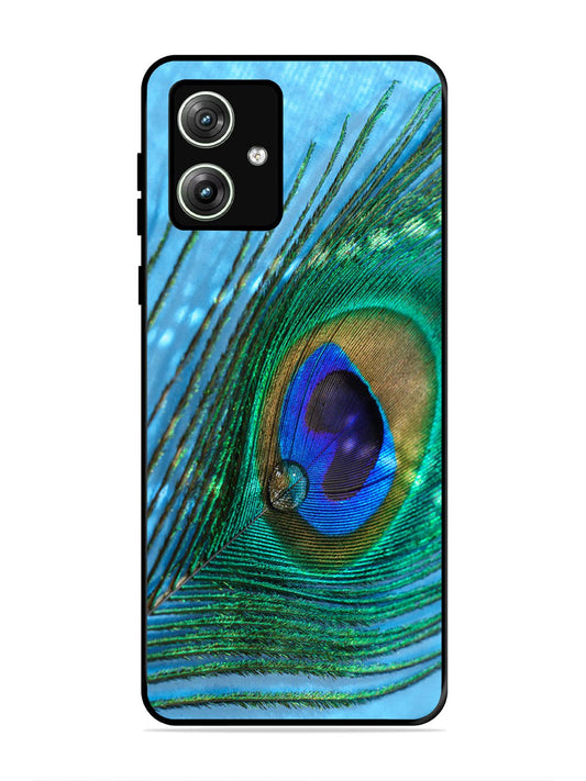 Motorola Moto G64 5g A drop on Peacock Feather