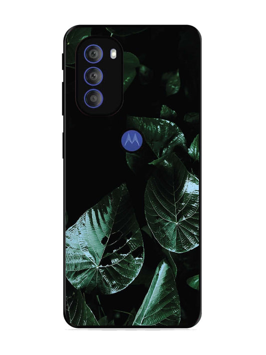 Motorola Moto G71 5G Leafs at night