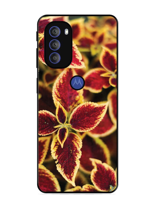 Motorola Moto G71 5G Autumn Blaze