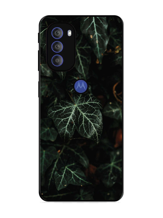 Motorola Moto G71 5G Betel Leafs