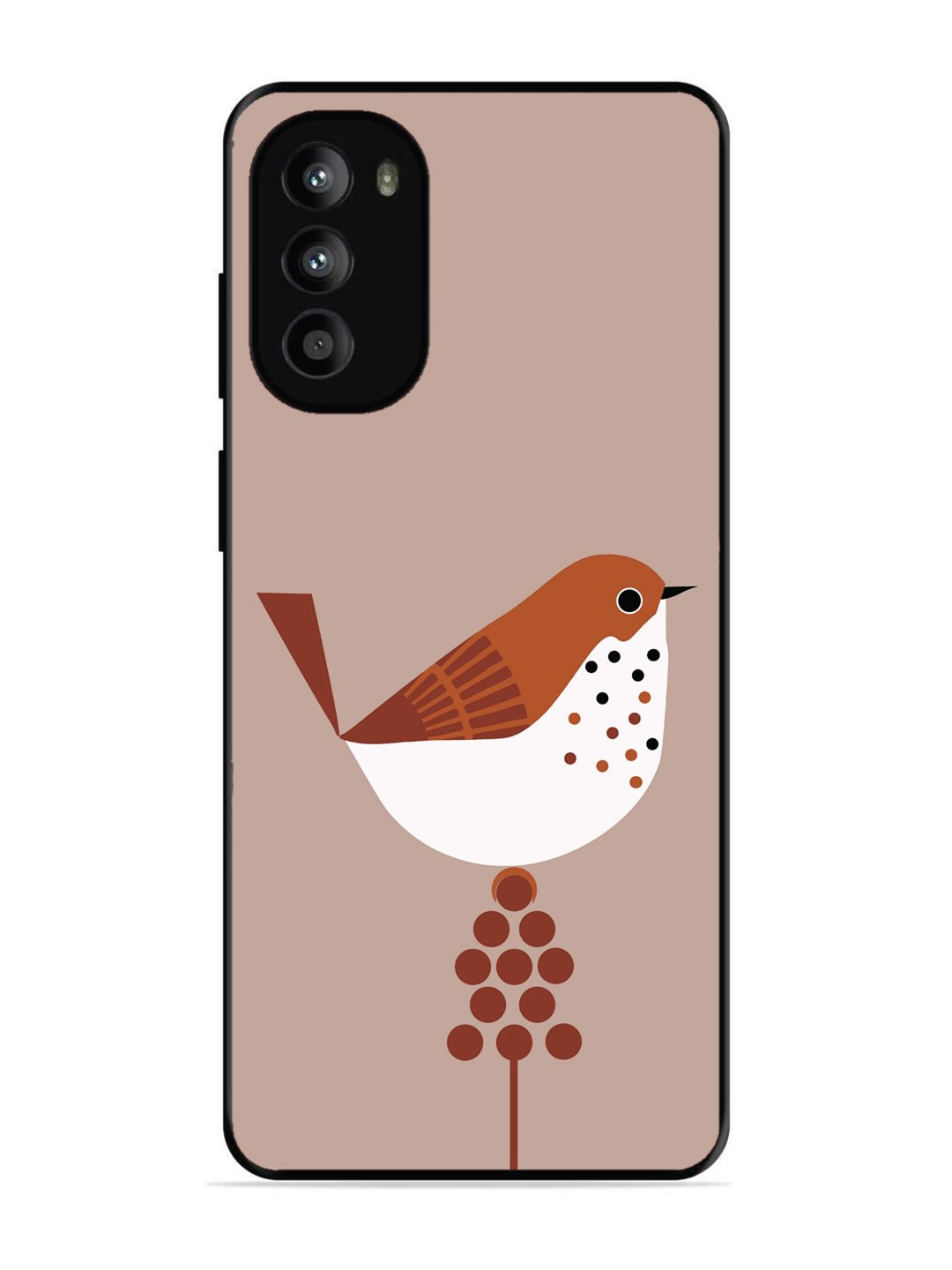 Motorola Moto G82 Sparrow