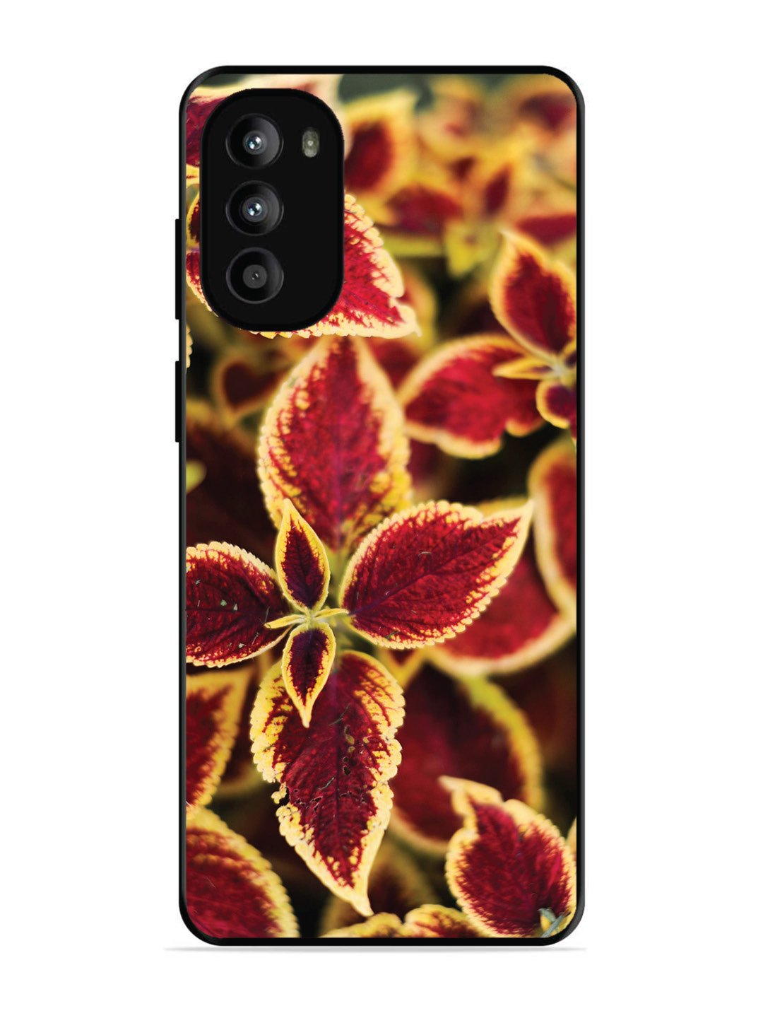 Motorola Moto G82 Autumn Blaze