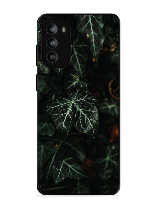 Motorola Moto G82 Betel Leafs