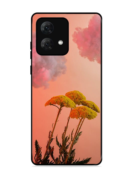 Motorola Moto G84 Floral Sunset Blossom Sky