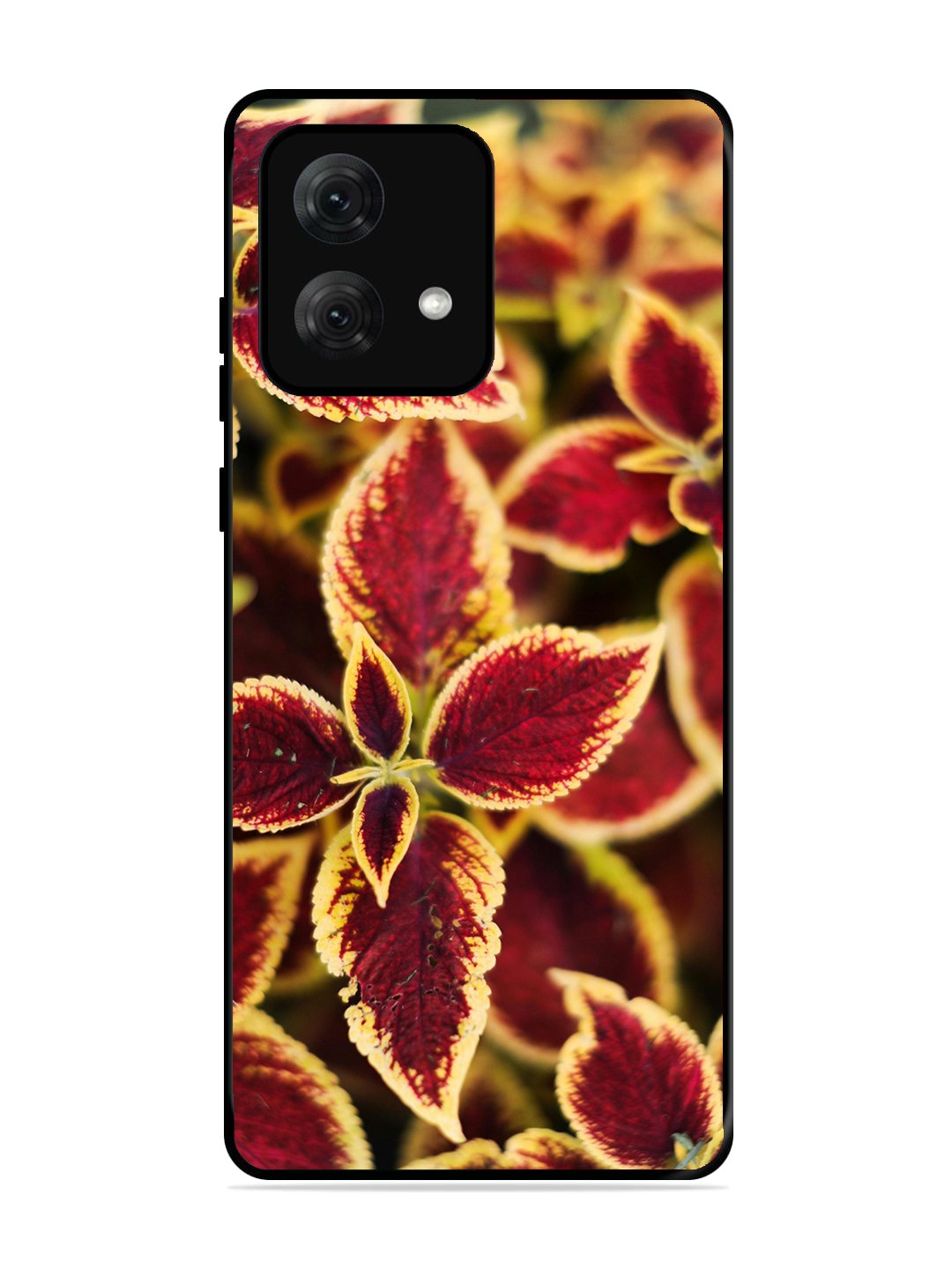 Motorola Moto G84 Autumn Blaze