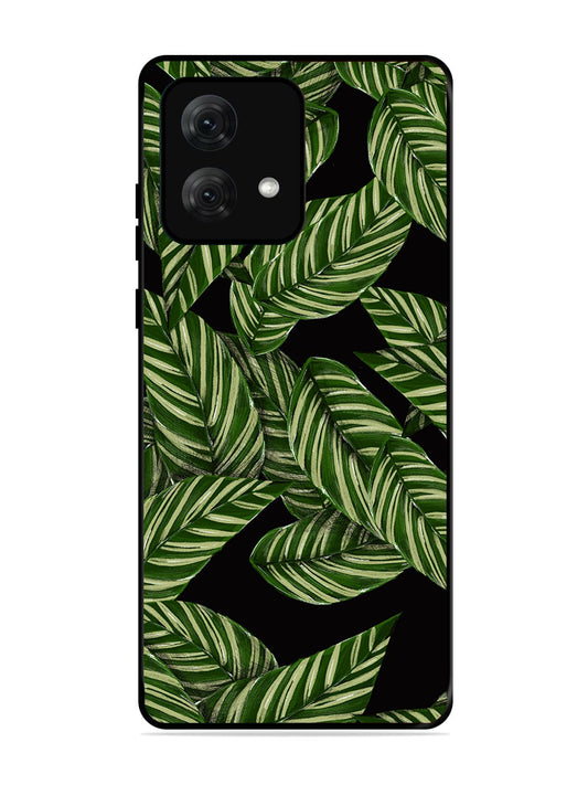Motorola Moto G84 Leafs Pattern